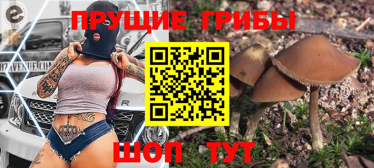 купить наркотик  Вход с VPN  Железноводск  Псилоцибиновые грибы Magic Shrooms 