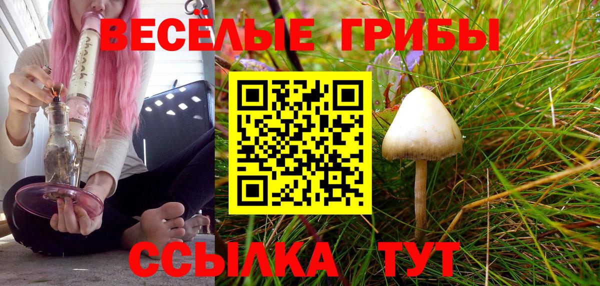 Галлюциногенные грибы прущие грибы Железноводск